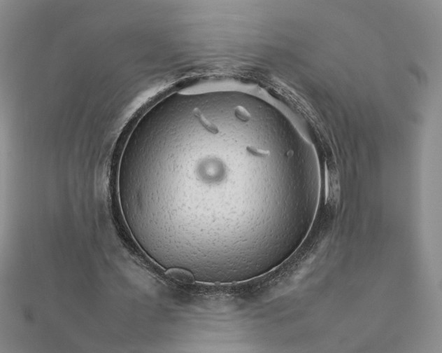 X0000111680483200908071428