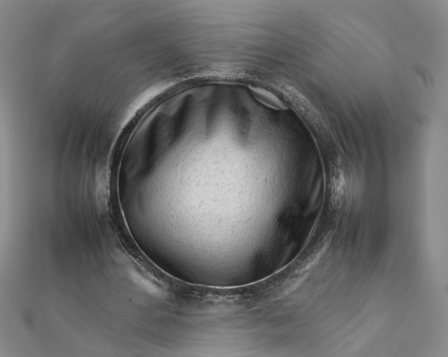 X0000111680484200908071428