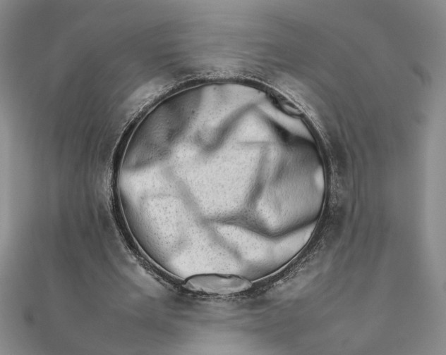 X0000111680485200908071428