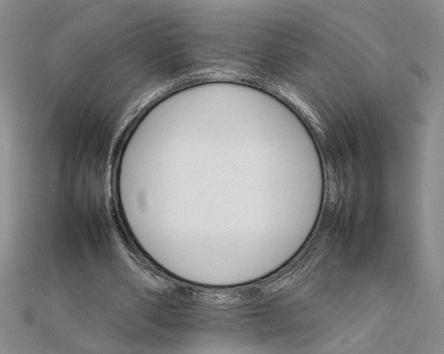 X0000111680486200908071428