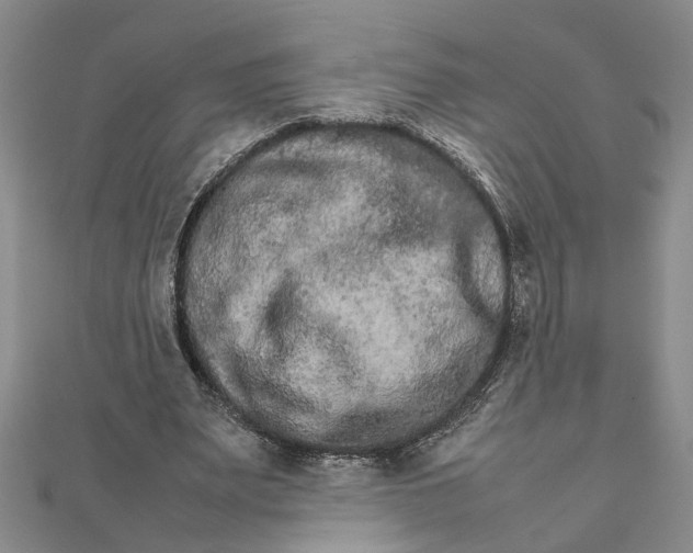 X0000111680487200908071428