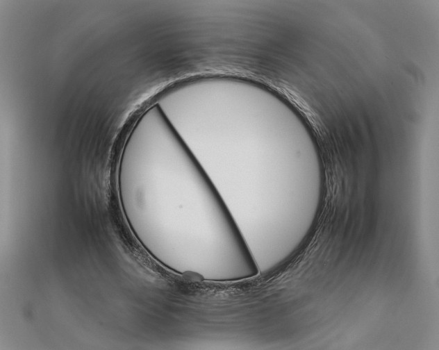 X0000111680488200908071428