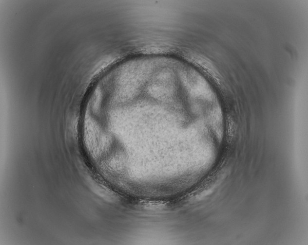 X0000111680491200908071428