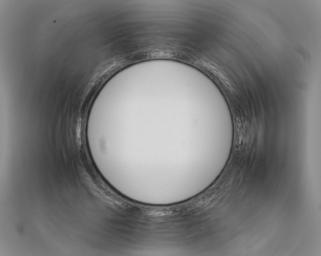 X0000111680494200908071428