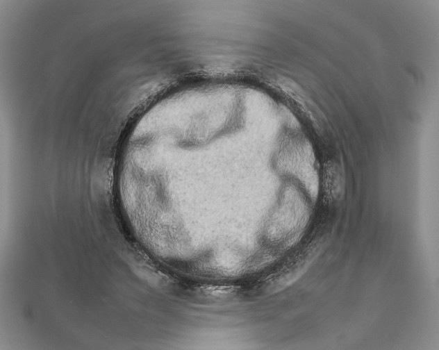 X0000111680495200908071428