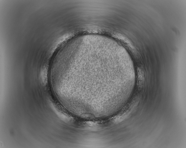 X0000111680496200908071427