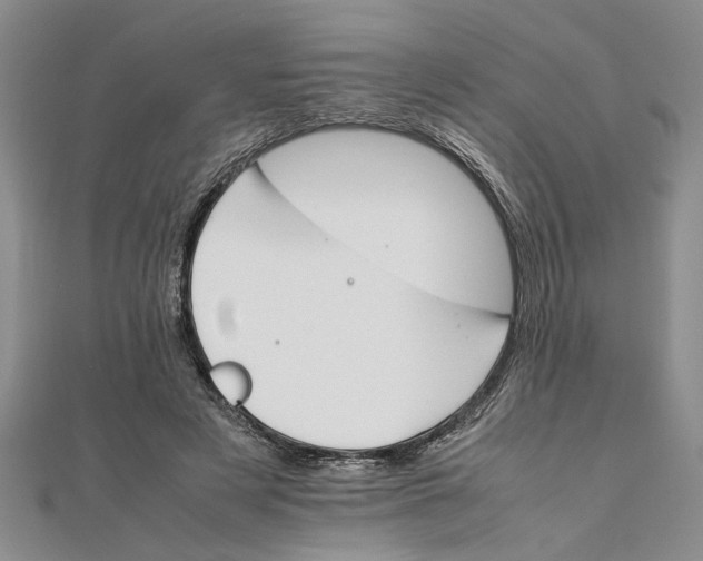 X0000111680497200908071427