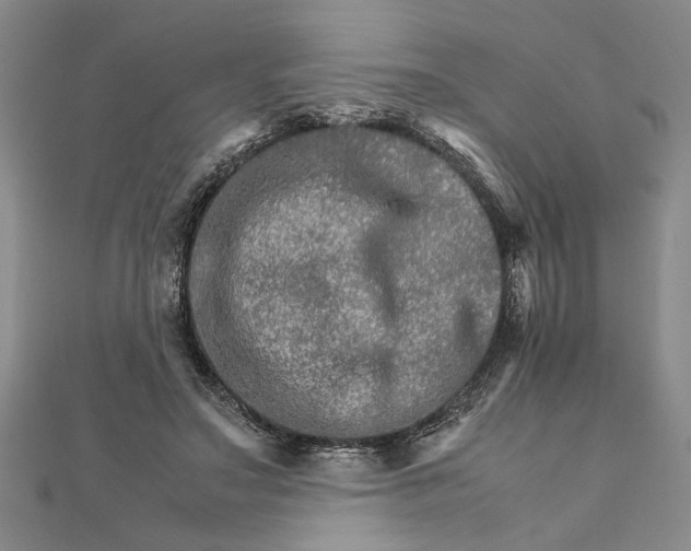 X0000111680499200908071427