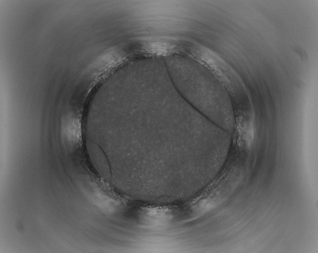 X0000111680500200908071427