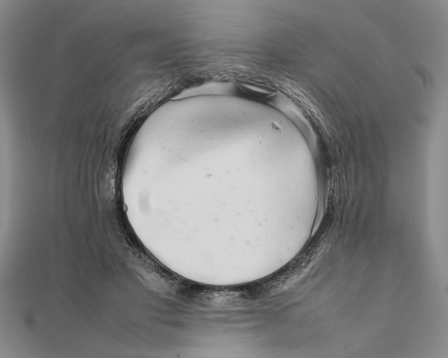 X0000111680501200908071427