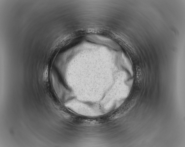 X0000111680502200908071427