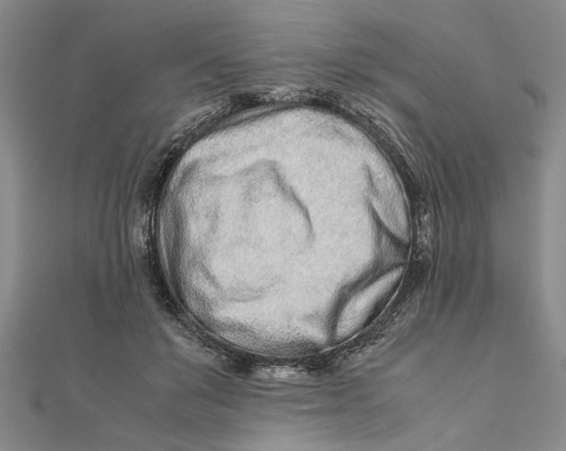 X0000111680503200908071427