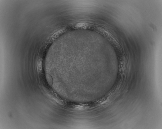 X0000111680504200908071427