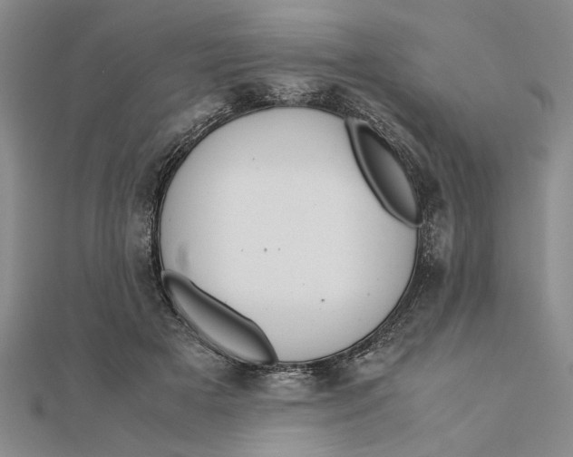 X0000111680505200908071427