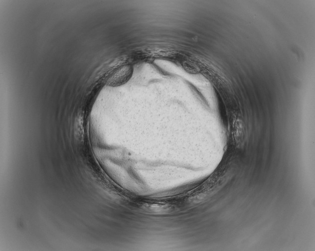 X0000111680506200908071427