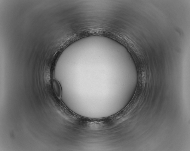 X0000111680508200908071427