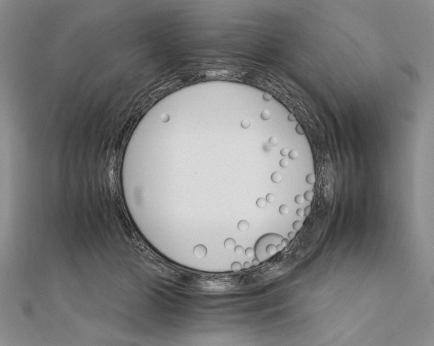 X0000111680510200908071427