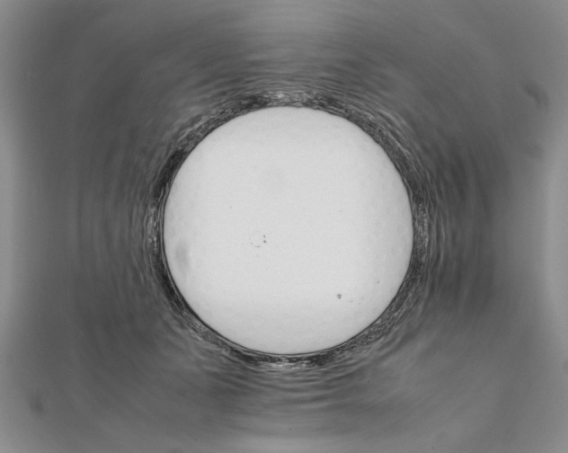 X0000111680511200908071427