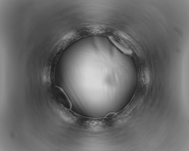 X0000111680512200908071427