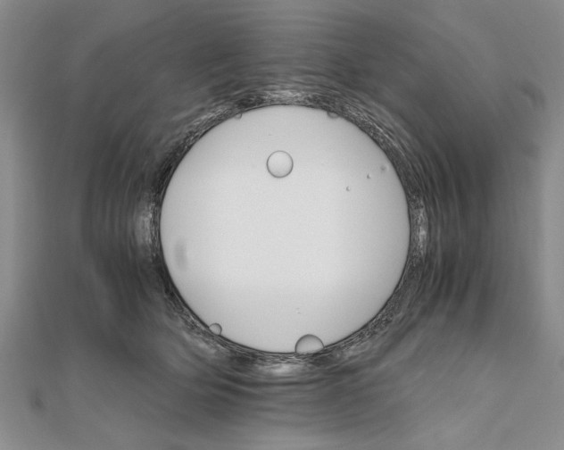 X0000111680514200908071427