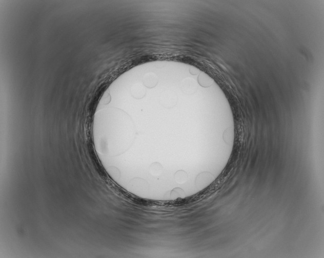 X0000111680515200908071427