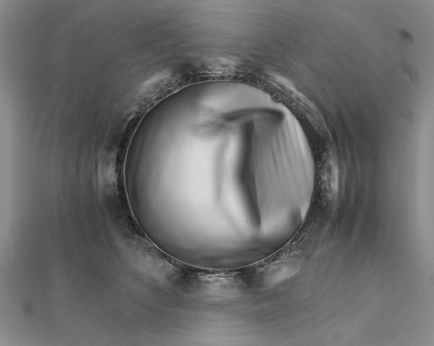 X0000111680516200908071427