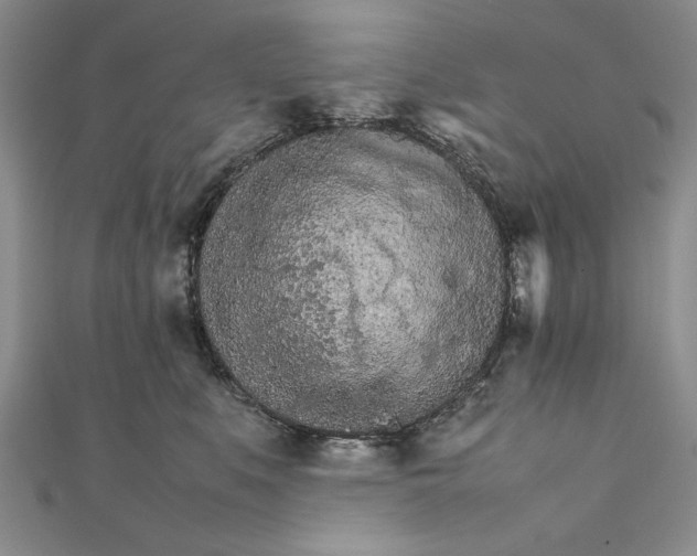 X0000111680519200908071427