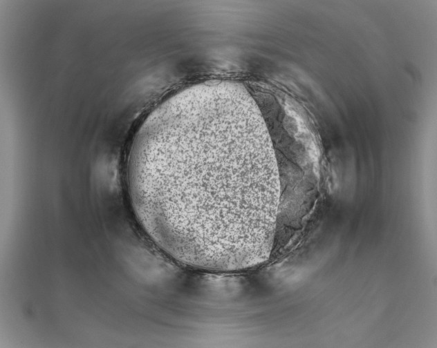 X0000111680520200908071427