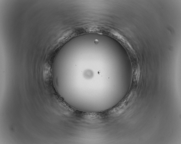 X0000111680521200908071427