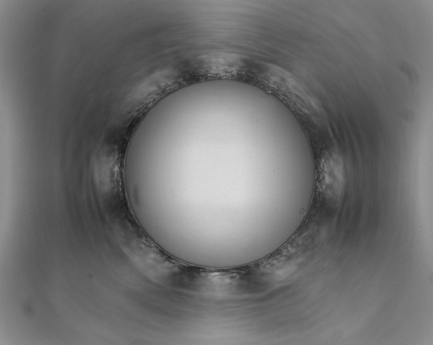 X0000111680522200908071427