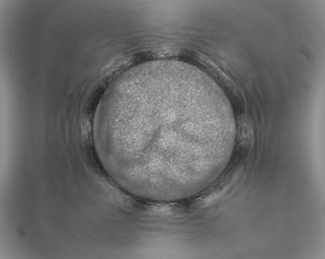 X0000111680523200908071427