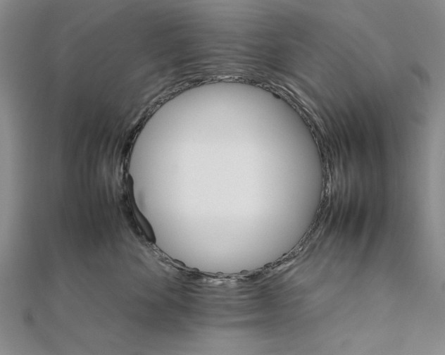 X0000111680524200908071427