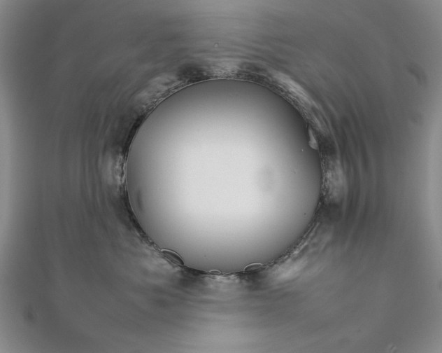 X0000111680525200908071427