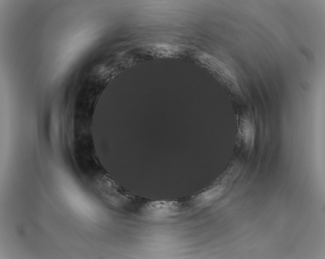 X0000111680526200908071427