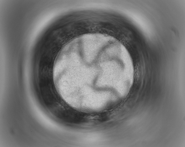 X0000111680527200908071427