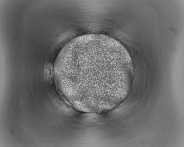 X0000111680528200908071427