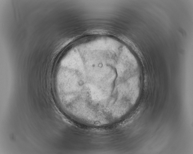 X0000111680529200908071426