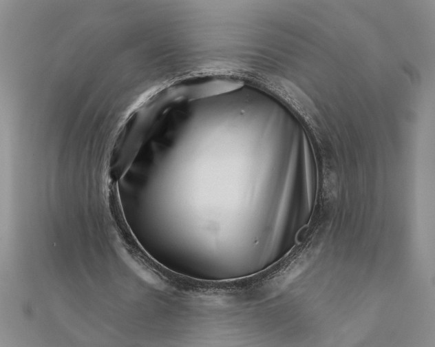 X0000111680530200908071426