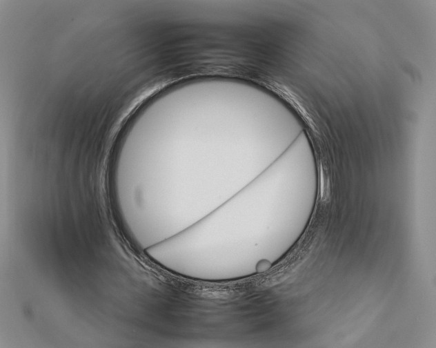 X0000111680531200908071426