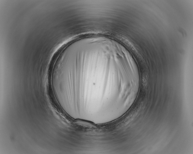 X0000111680532200908071427