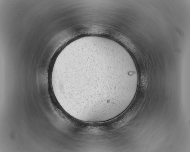 X0000111680534200908071427