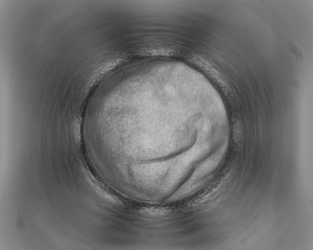 X0000111680537200908071427