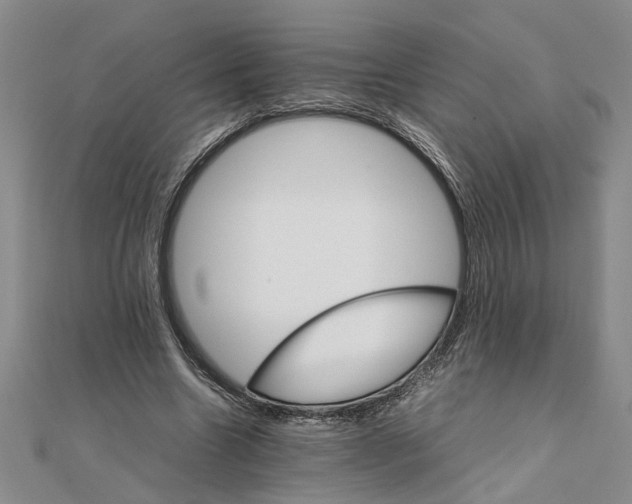 X0000111680538200908071427