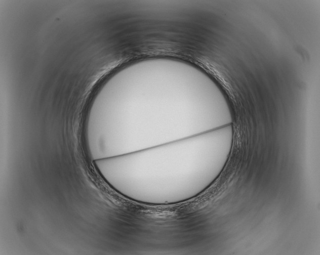 X0000111680539200908071427