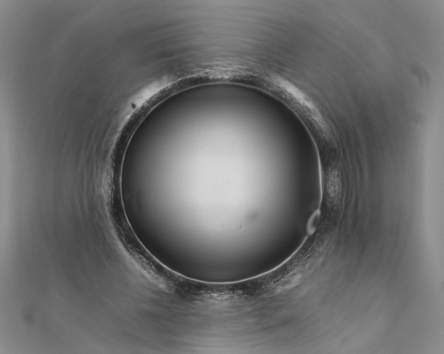 X0000111680540200908071427