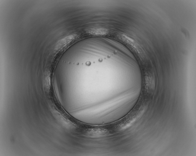 X0000111680541200908071427