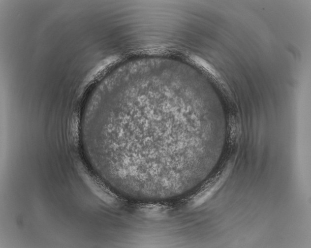 X0000111680542200908071427