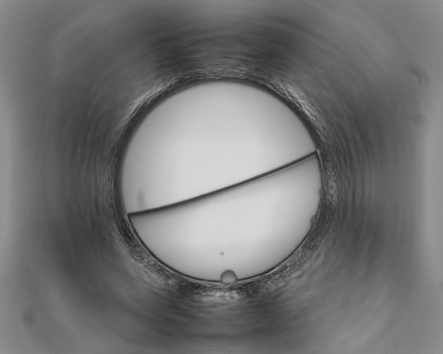 X0000111680543200908071427