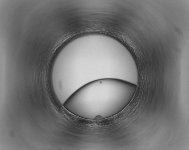 X0000111680544200908071427