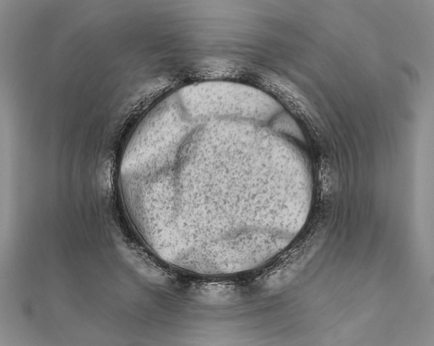 X0000111680546200908071427